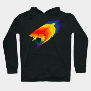 Rainbow Shark Hoodie